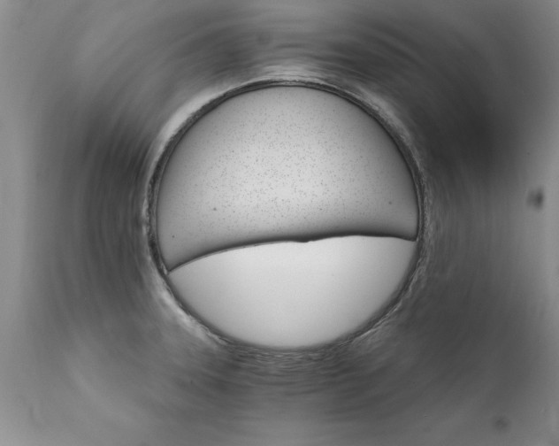 X0000111801331200907301200