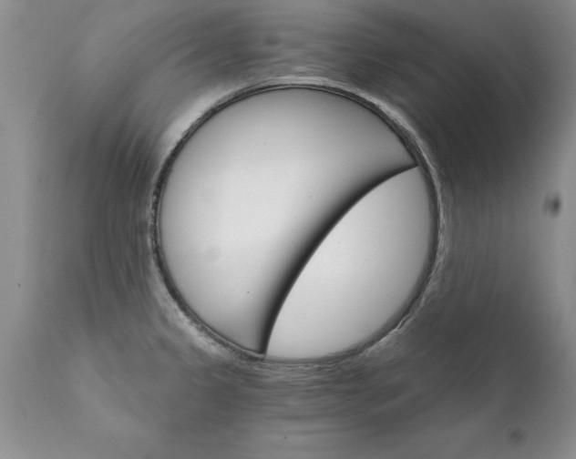 X0000111801333200907301200