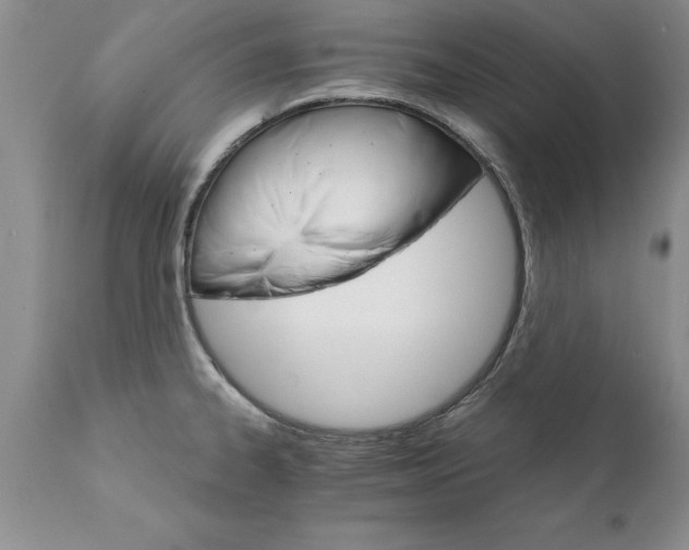 X0000111801334200907301200