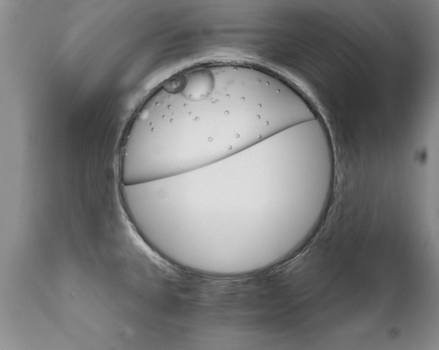 X0000111801335200907301200