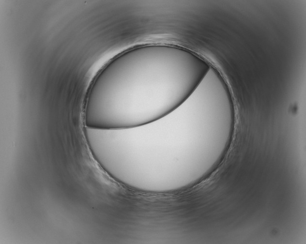 X0000111801336200907301200