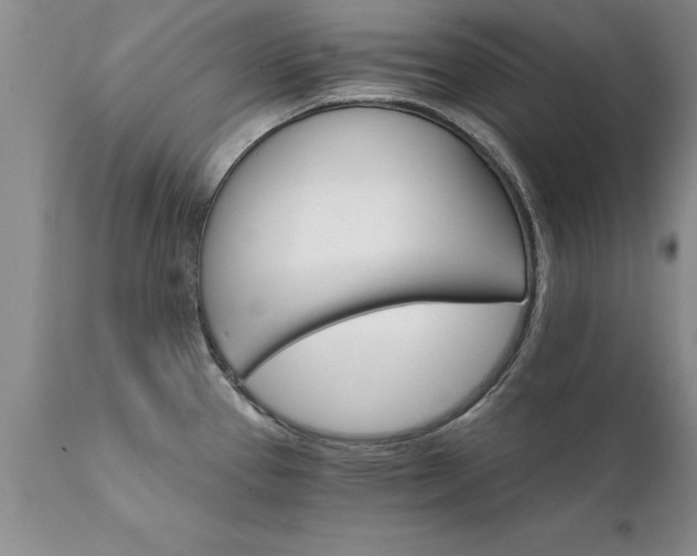 X0000111801337200907301200