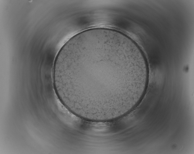 X0000111801338200907301200