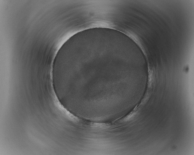 X0000111801339200907301200
