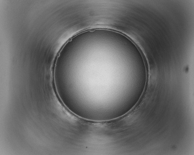 X0000111801341200907301200