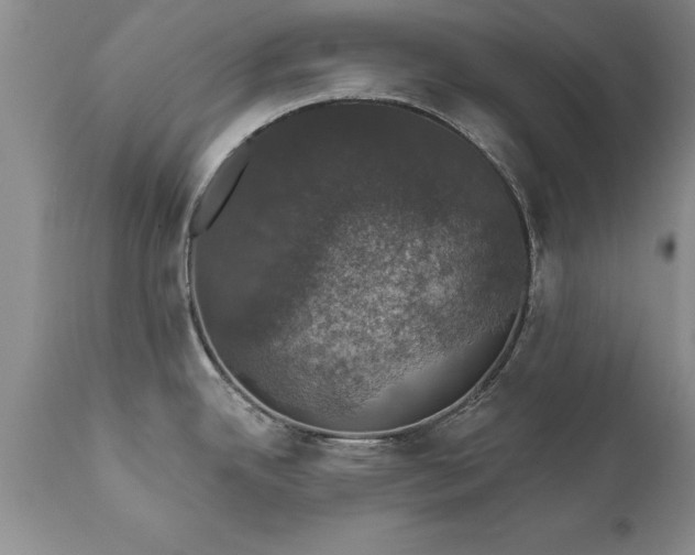 X0000111801342200907301200