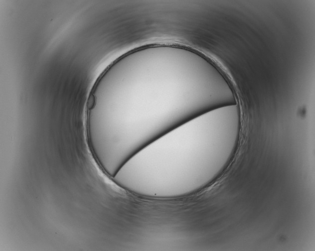 X0000111801343200907301200