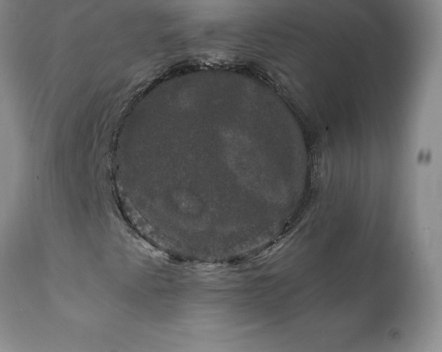 X0000111801345200907301159