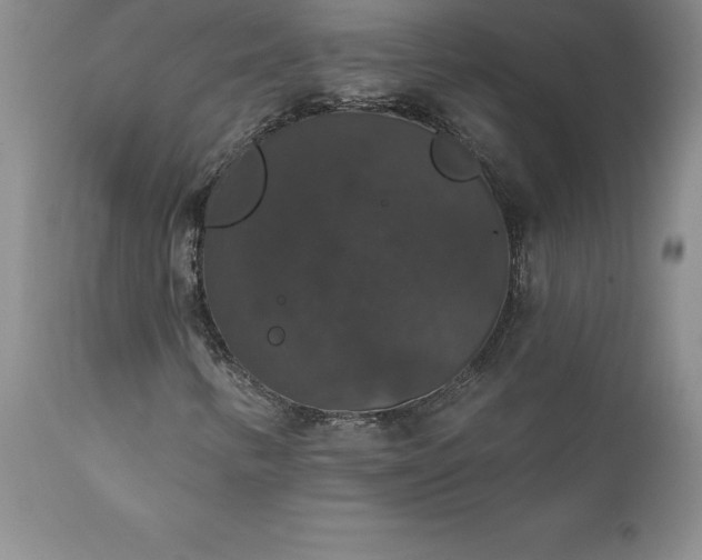 X0000111801346200907301159