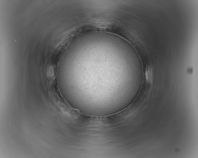 X0000111801347200907301159