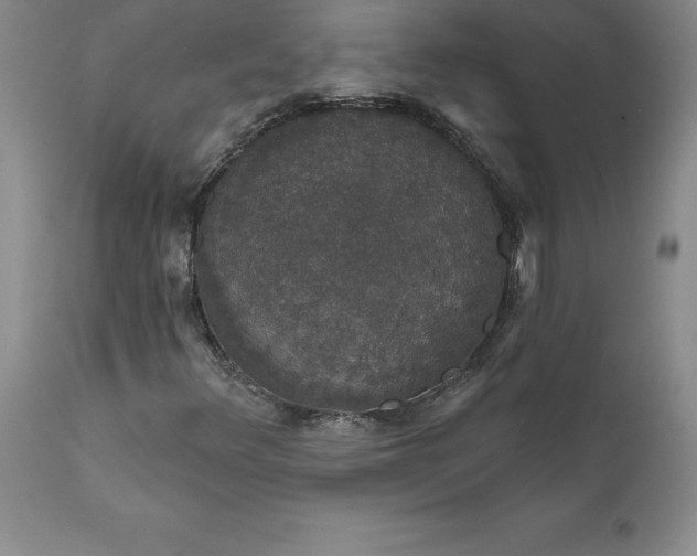 X0000111801348200907301159