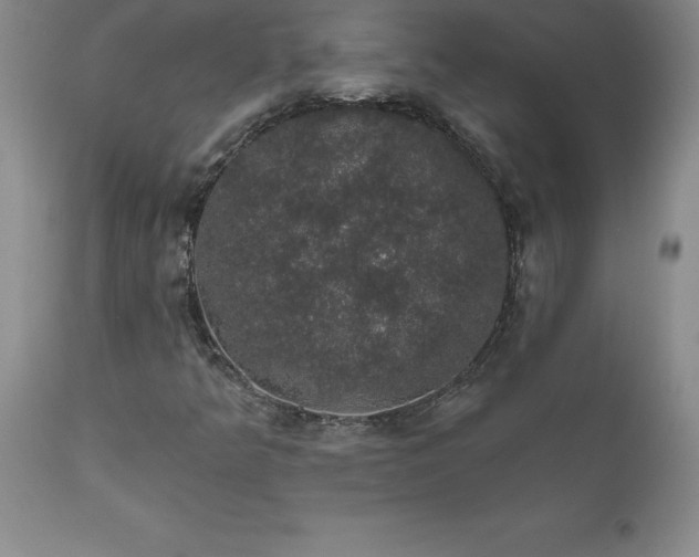 X0000111801349200907301159