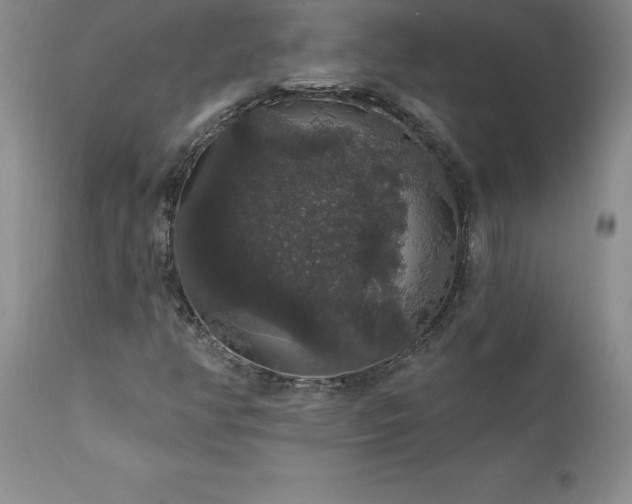 X0000111801350200907301159