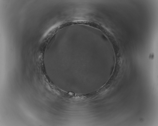 X0000111801351200907301159