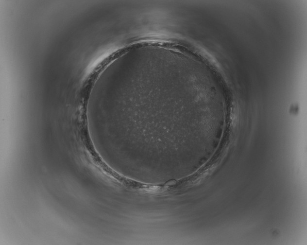 X0000111801352200907301159