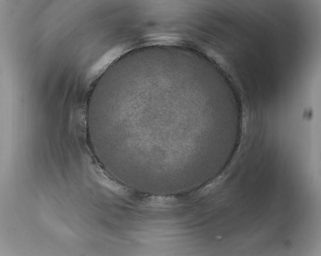 X0000111801354200907301159