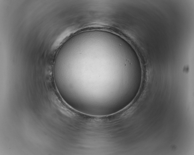 X0000111801355200907301159