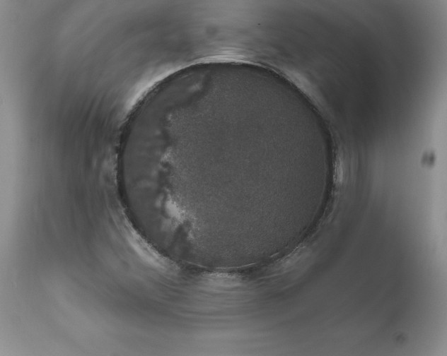 X0000111801356200907301159