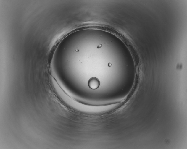 X0000111801357200907301159