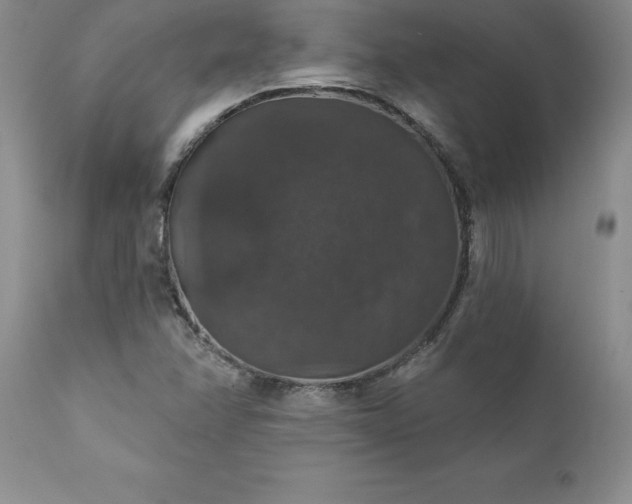 X0000111801358200907301159