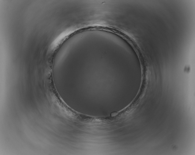 X0000111801359200907301159