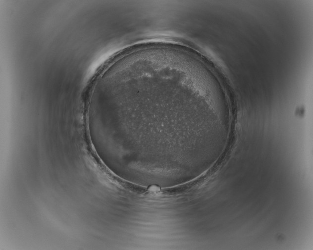 X0000111801360200907301159