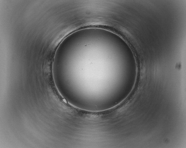 X0000111801361200907301159