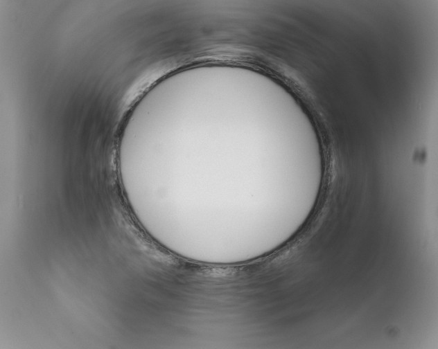 X0000111801362200907301159