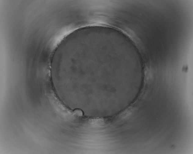 X0000111801363200907301159
