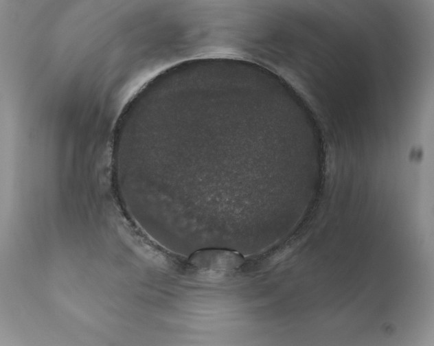 X0000111801364200907301159