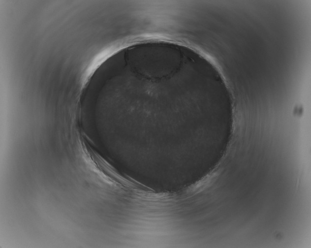 X0000111801365200907301159
