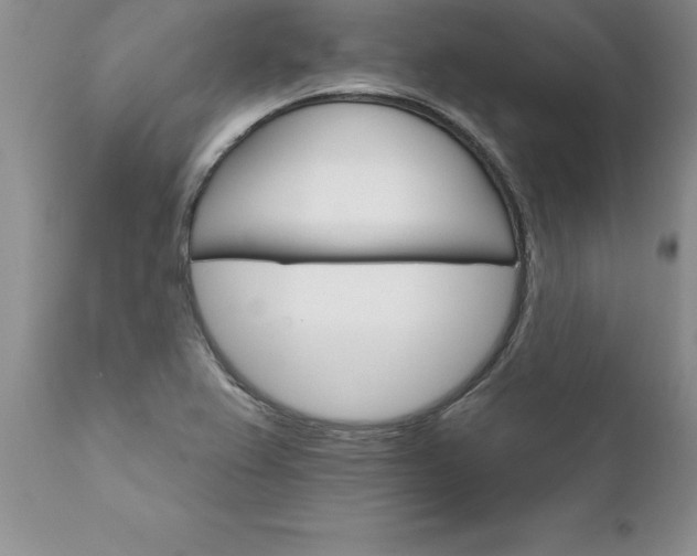 X0000111801367200907301159