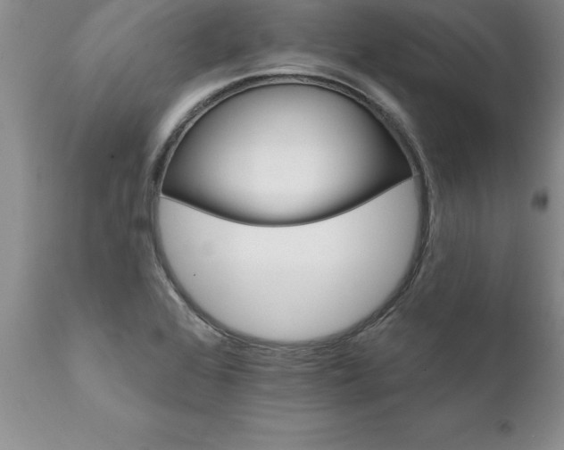 X0000111801368200907301159