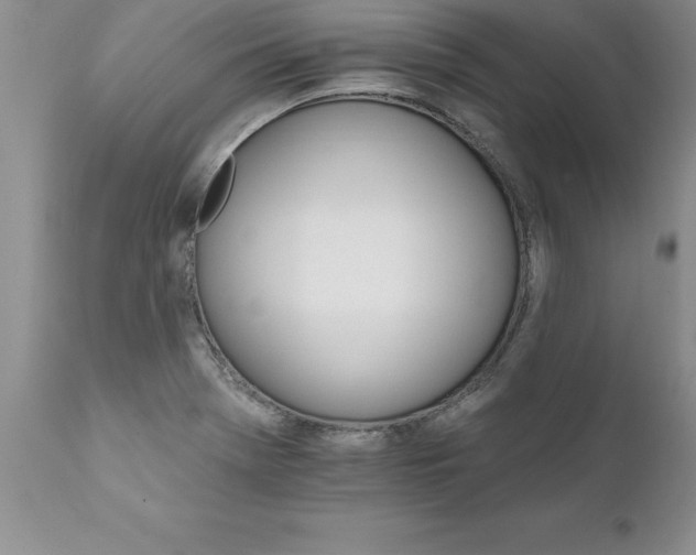 X0000111801369200907301159