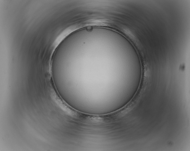X0000111801370200907301159