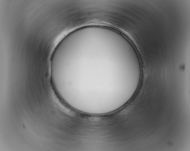 X0000111801371200907301159