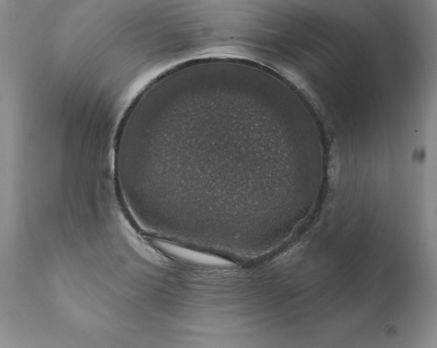 X0000111801372200907301159