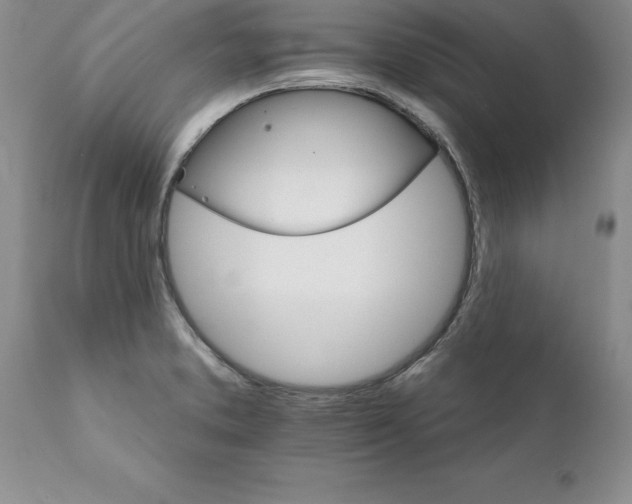 X0000111801373200907301159