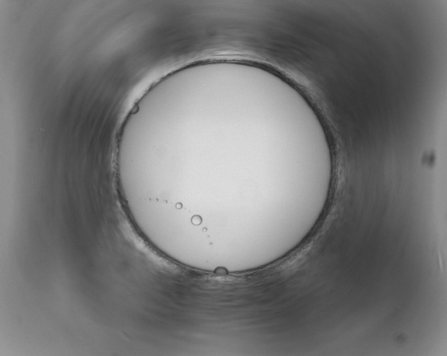 X0000111801374200907301159
