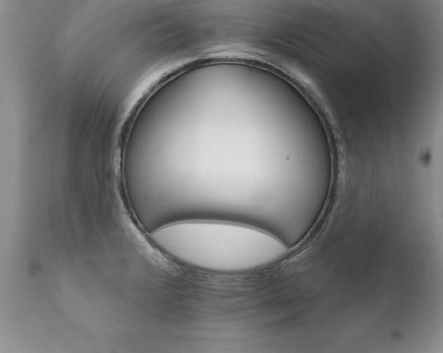 X0000111801376200907301159