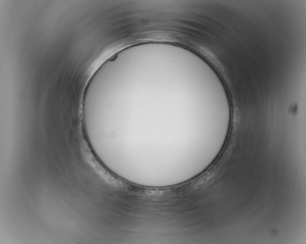 X0000111801378200907301159