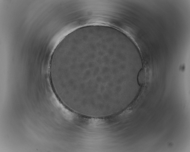 X0000111801379200907301158