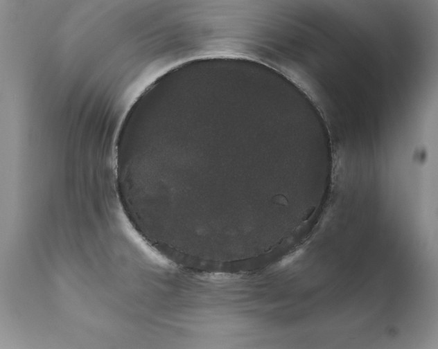 X0000111801380200907301158