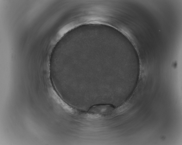 X0000111801384200907301158