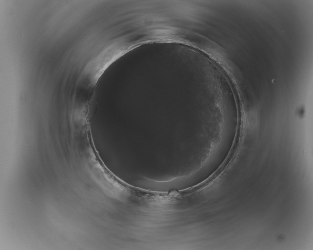 X0000111801385200907301158