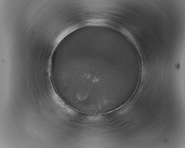 X0000111801386200907301158
