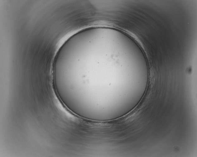 X0000111801387200907301158