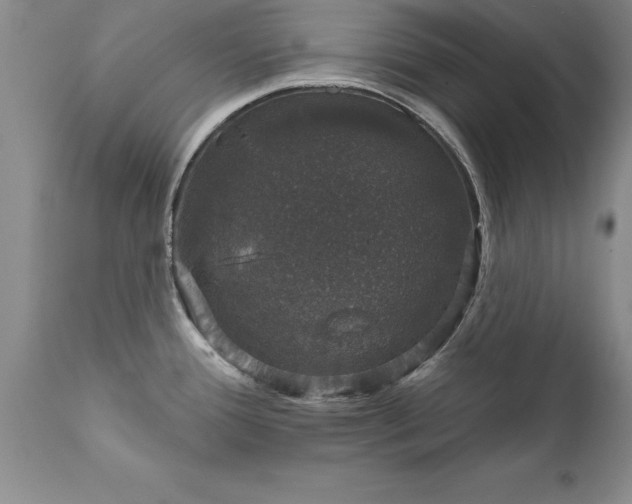 X0000111801388200907301158