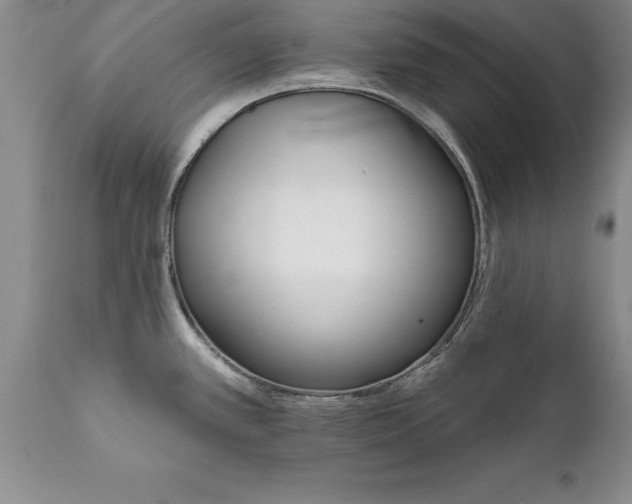 X0000111801389200907301158