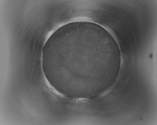X0000111801390200907301158